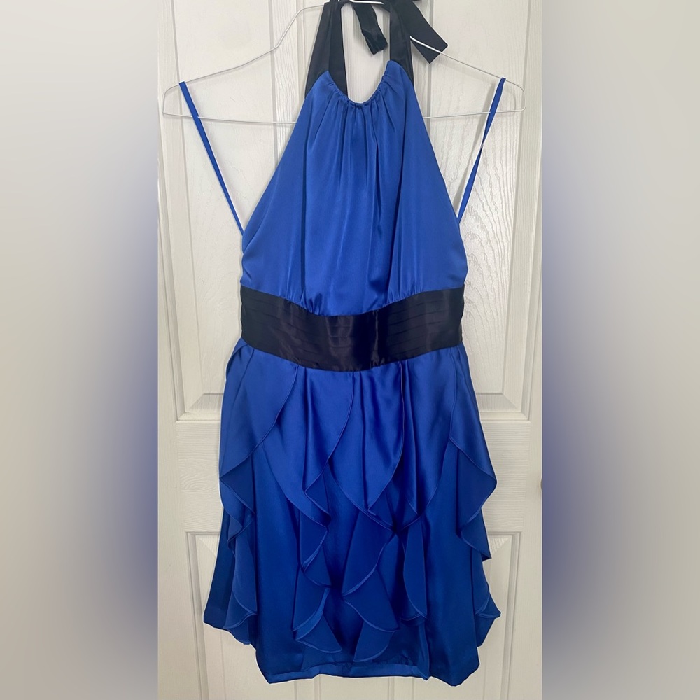 BCBG Maxazria Layla dress/ 100% silk/ Blue
